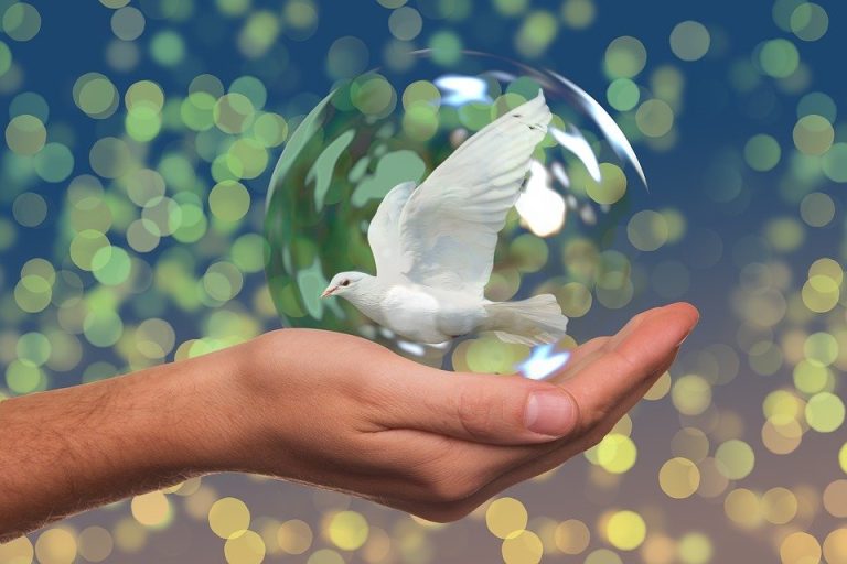 peace dove 2489589 960 720